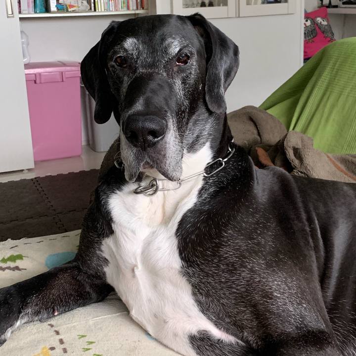 7c044432 44dd 4077 a642 cfb4dacd8556 1555744134789