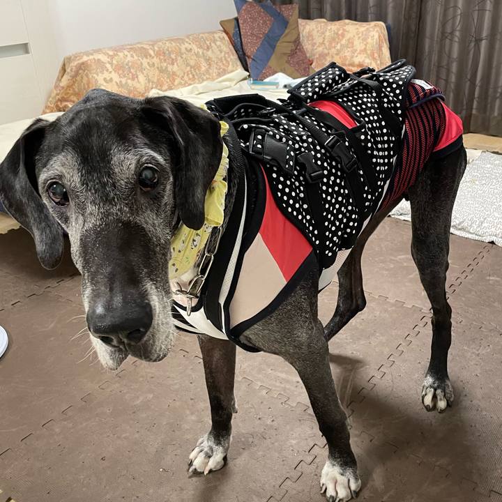 7c044e77 175e 425b 8171 2e6412ec557f 1659047835681