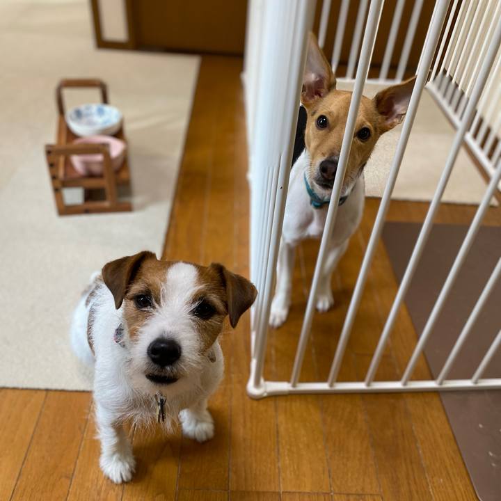 7c047104 22d7 4106 9d2f 578e6c59d38e 1767162780883