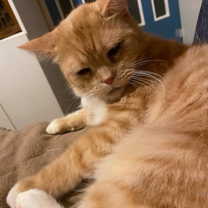 7c0488b5 dbd2 4b4c 9eac 7bfba8365a31 1637504434103