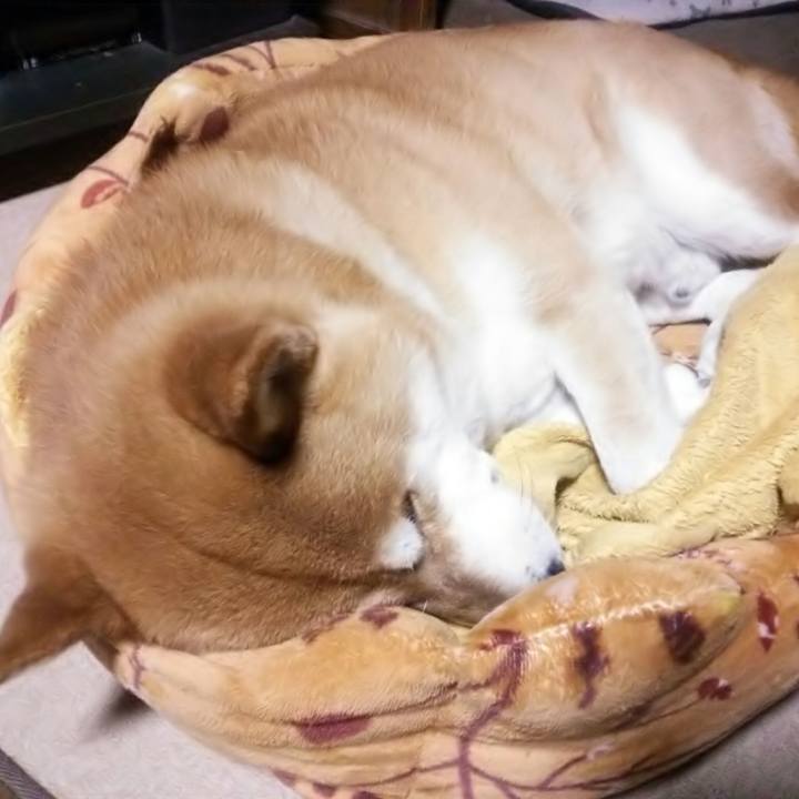 7c048b30 968b 4e96 a347 8d0fb3aaf552 1557754934852