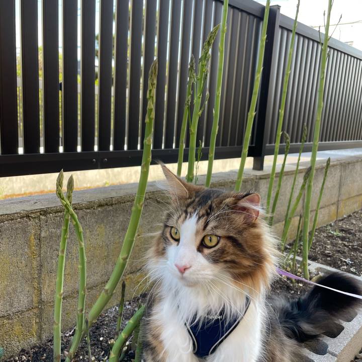 7c048f1c 4dcf 4b78 81cf 89228c2d06bc 1651999097005