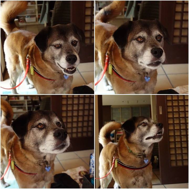 7c04c9cb 1f8b 4ea3 96ae bbe133b67b3f 1554514304840