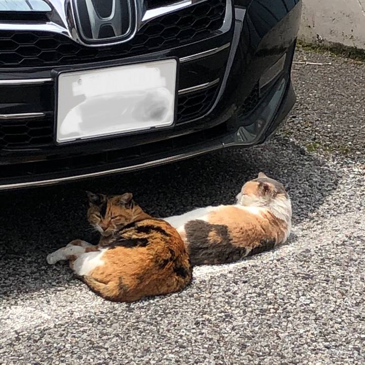 7c051548 1f46 44c7 8bd4 408f8ca528d1 1623307397981