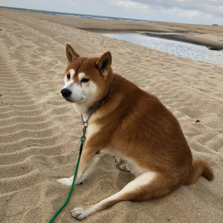 7c052db8 a45b 4393 bfe8 42e641733bdb 1669339272949