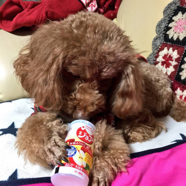 7c0569be 407a 40e7 9344 c66b713d0a79 1520248705960