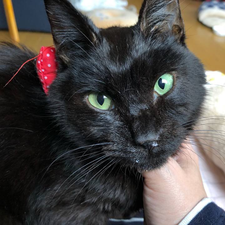 7c056b37 1926 4dca 8119 2dd78f679f94 1556658308675