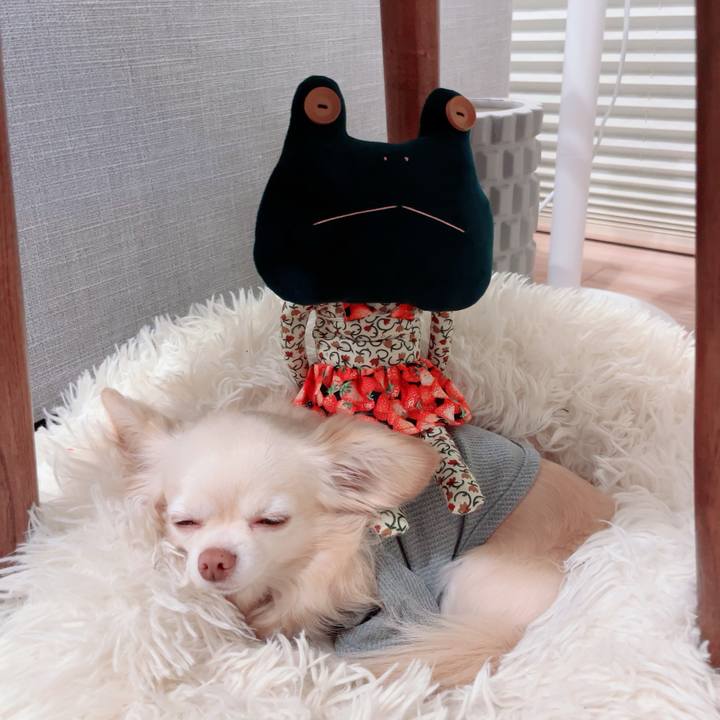 7c05bceb 0cfd 4625 b55c 8c63b9fd1f62 1746093064159