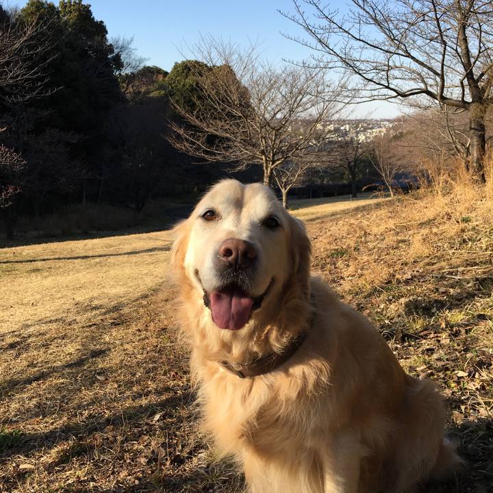 7c05bd8e 9f24 4d29 85c9 7b2ad2a9cb41 1519984936546