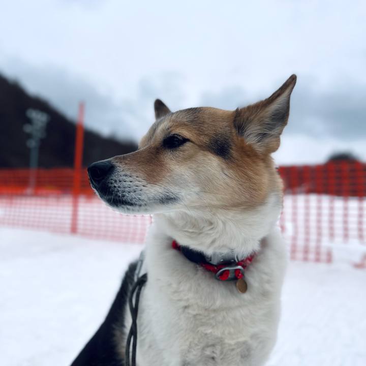 7c05e69f 2dd7 4485 b66e 15e19968491a 1773384278775