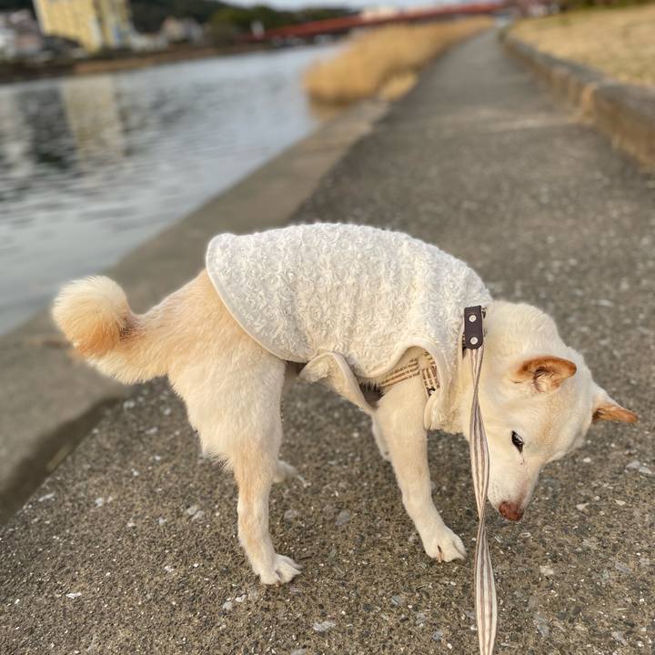 7c05e7d3 092a 4f2f b7f1 15f1731fb354 1646607376612