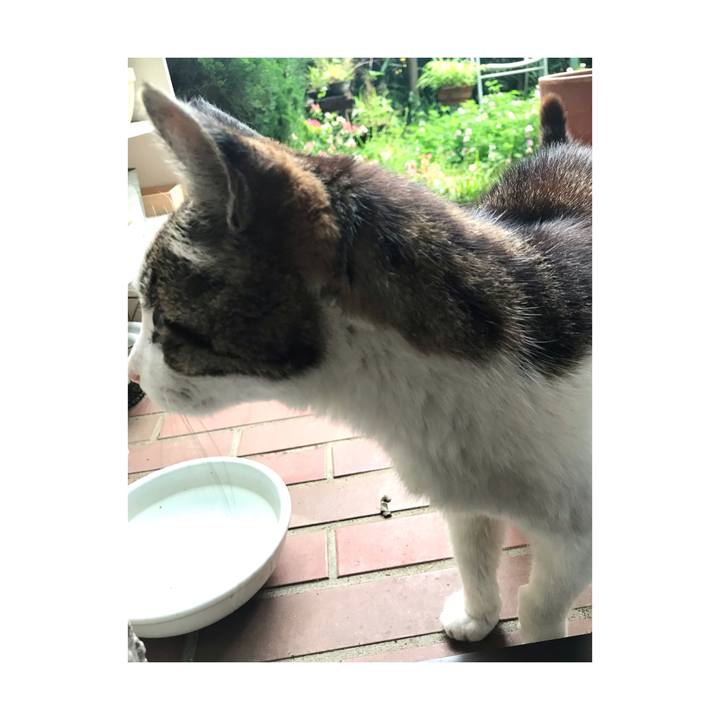 7c060f19 3951 43fc 99e2 d3bd5df11eab 1652765971343