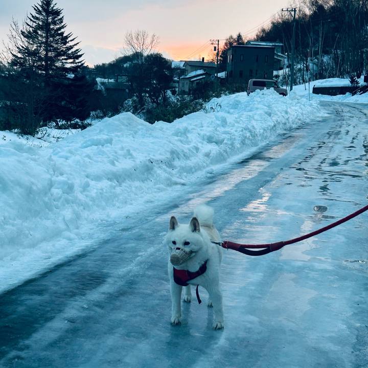 7c066e27 63a3 46a9 b384 1ad100e21095 1766182139528