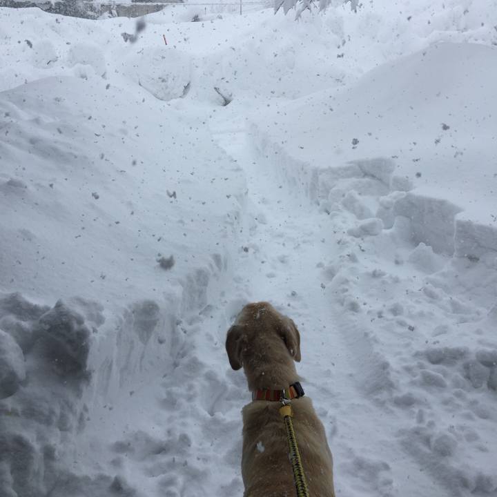 7c06beae f798 4126 a371 5132160b33da 1610233960487