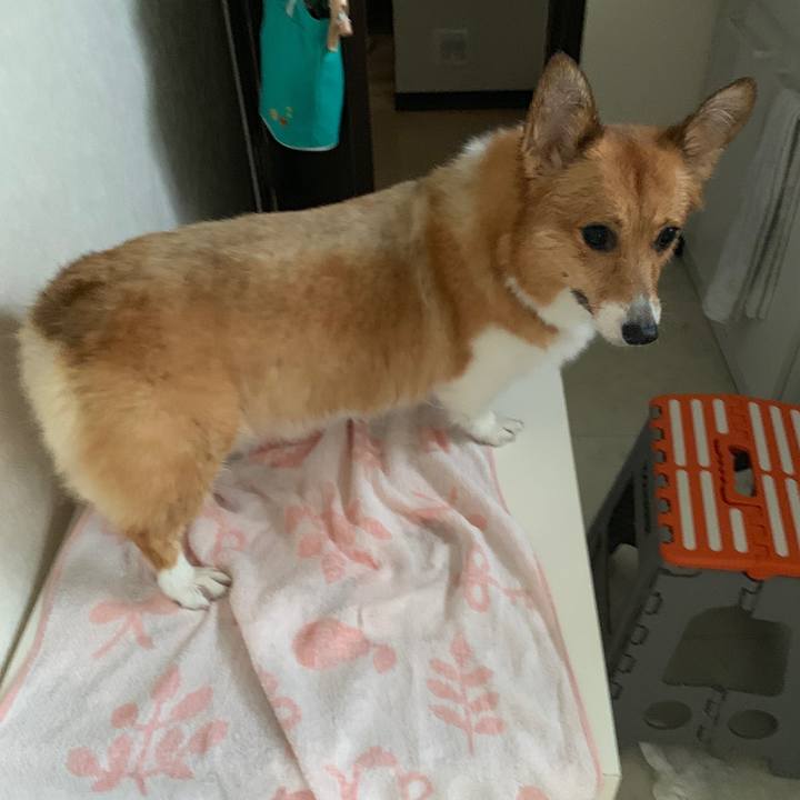 7c06c6f8 2c32 4208 a125 f52c75c99bb3 1561208145239