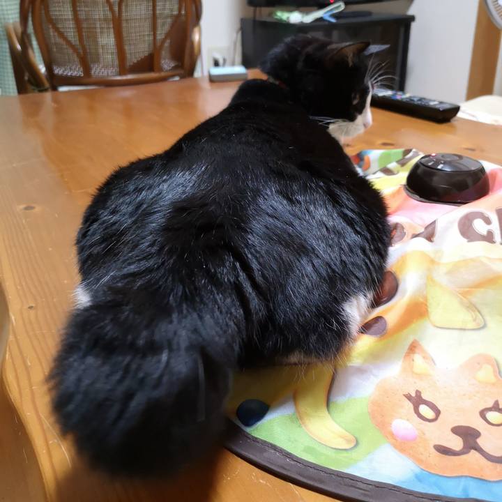 7c06ecd6 618b 49f9 ac8b 2337c10e802c 1565825693373