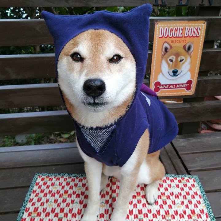 7c06f5d5 9ac6 4262 939b c671122041e0 1676187634466