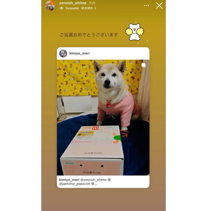 7c06fbdf 1430 4f70 95cf 3f8ca9b9dd02 1741574666259