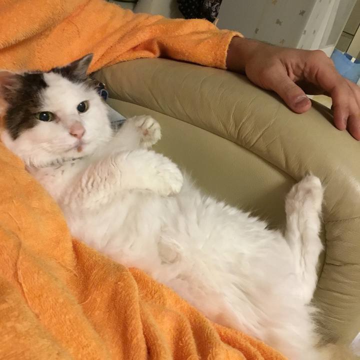 7c0723c2 6ca7 480c 8fbc 612e24932293 1573218662599