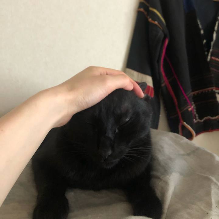 7c072d23 1c50 4389 bf8c 630651fa4507 1623470668854