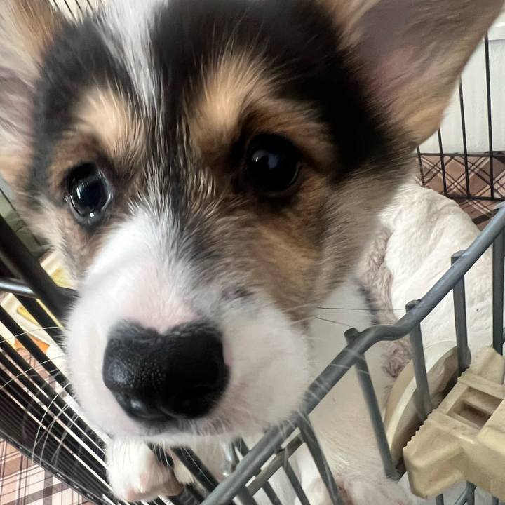 7c07508f 6a1a 42cf 9c42 f61ab3cdf3e7 1768526747706