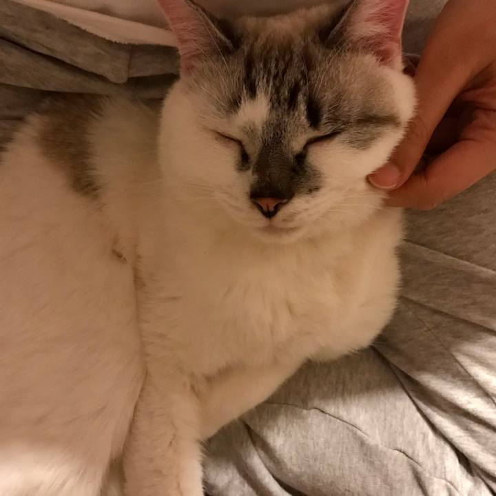 7c075771 af32 4031 88c5 4e59a9e788fb 1510841729460