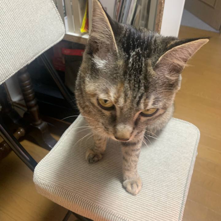 7c079fe7 288d 4d3f 96dd 7b8c4aebdf9b 1612943026305