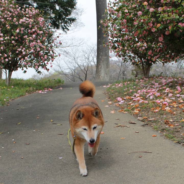 7c07b0eb 6f89 4182 90ac 695e3184c8d0 1616643884130