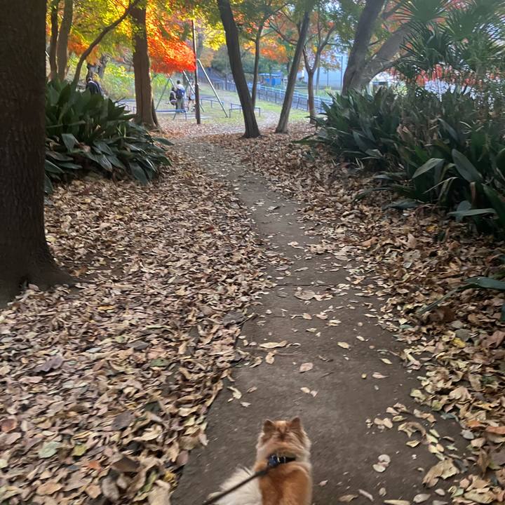 7c07b2d8 065e 41fb ab3e 267782a521f4 1764689141115