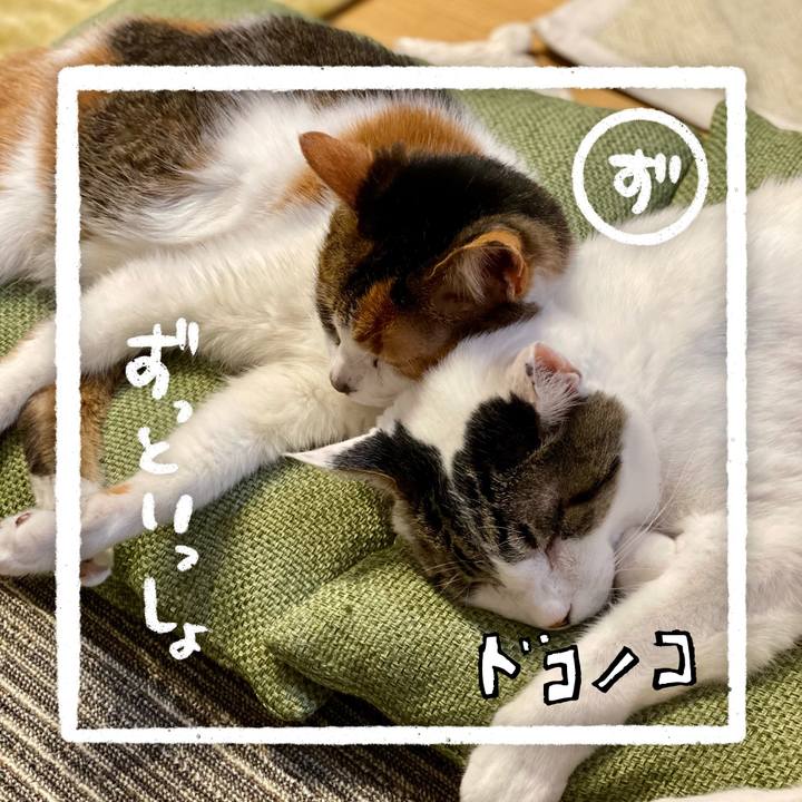 7c07cabf 764e 4544 aecb 79ef4af2a652 1686008163375