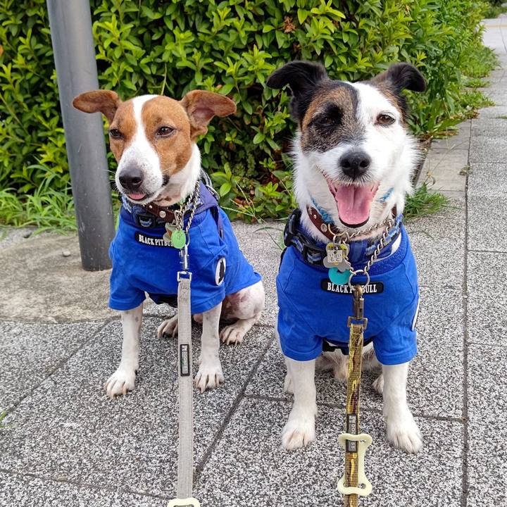 7c07d7af f19f 4336 9619 16dc62763d73 1656796664306