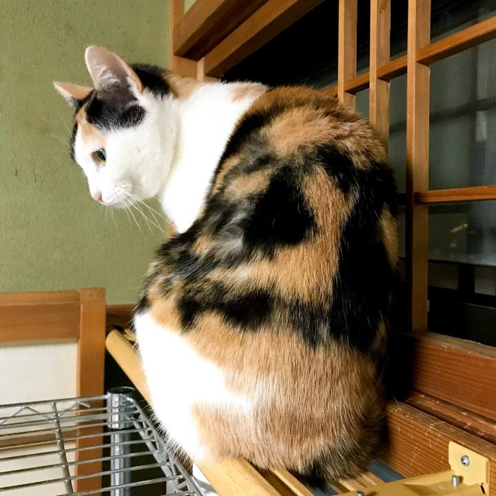 7c07e97c 0f50 4335 8a99 4efe869a3561 1517928147287