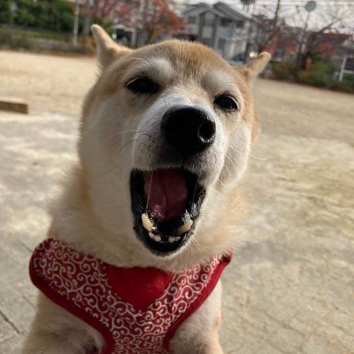 7c07ee1f 2b96 4048 a03c fb76b9f45bde 1639362258534