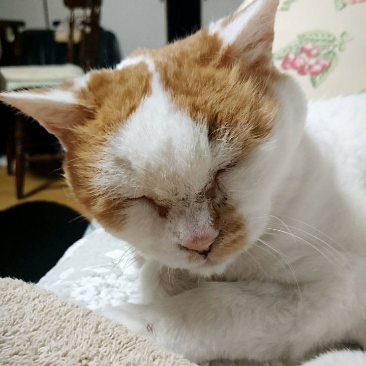 7c07f22e ce01 46a8 a894 926d6021342e 1566044697471