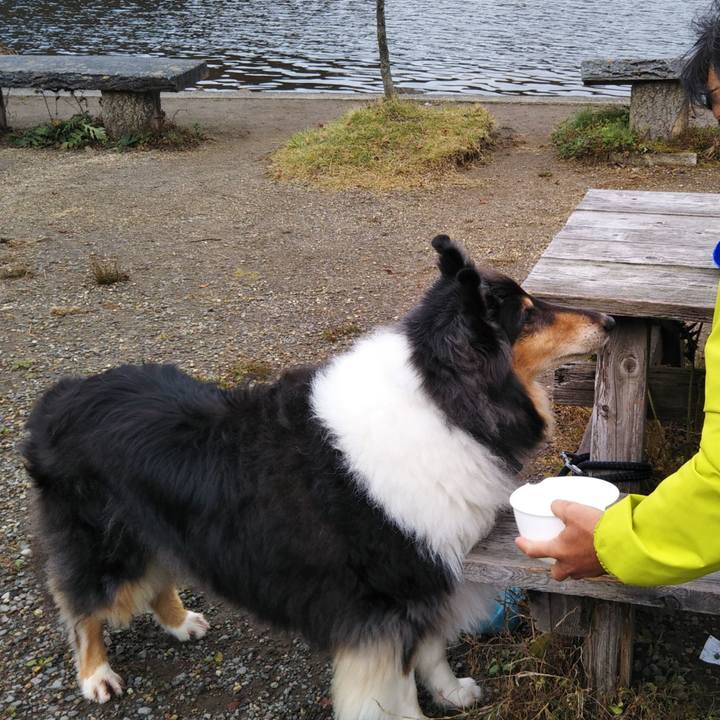 7c080440 8b51 42bf ac31 7583486b9caf 1572180047532