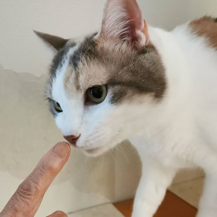 7c0809af 52ac 4ac7 b7f1 b62395054645 1651724334750