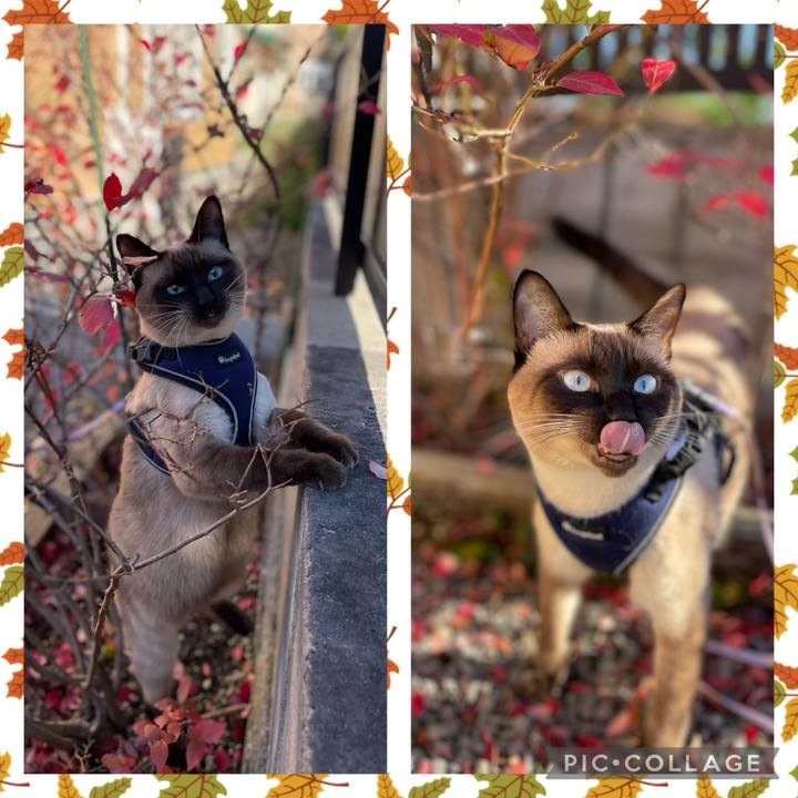 7c081fa5 f24d 4683 be45 966c60aaa680 1731227911668