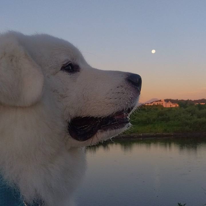 7c0840a6 9036 4778 bff6 2f6adef06288 1691011020859