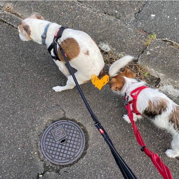 7c0843b6 146f 42fe 813c 34109dad28f7 1726573372868