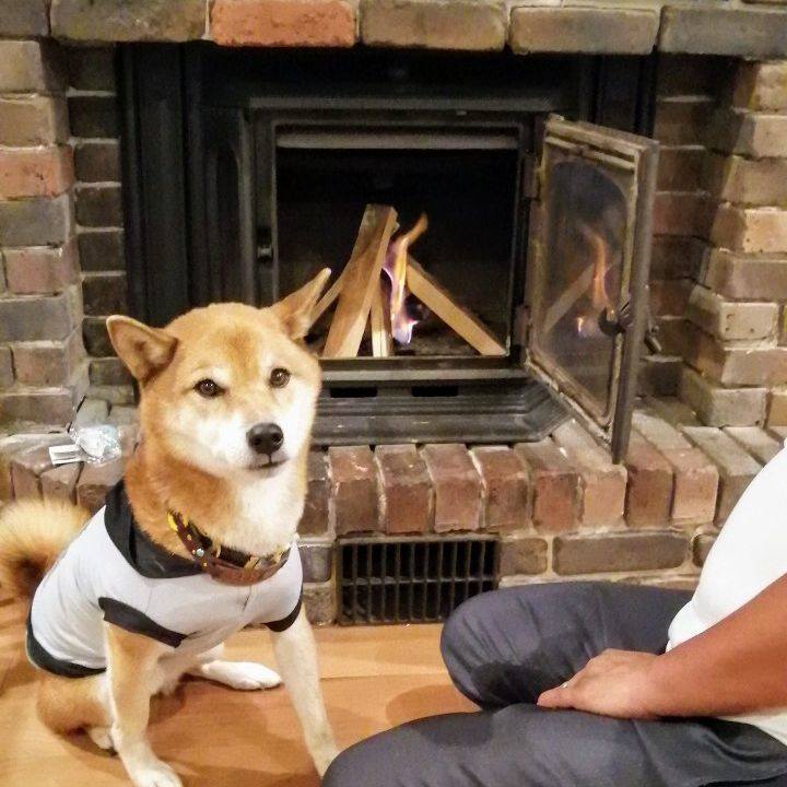 7c0852ba 9c40 46fb b51e 3524b365d7af 1602329819886