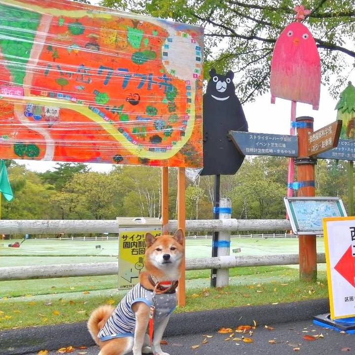 7c088093 30a0 4283 8504 f697c826cb3f 1665240406021