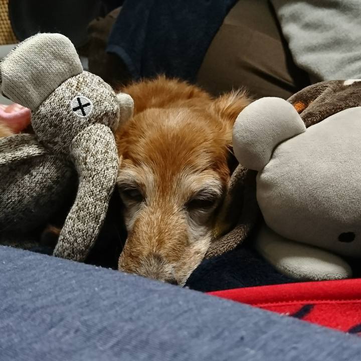 7c088f5a 75ff 424e 92b9 f55933a6651d 1514123539411