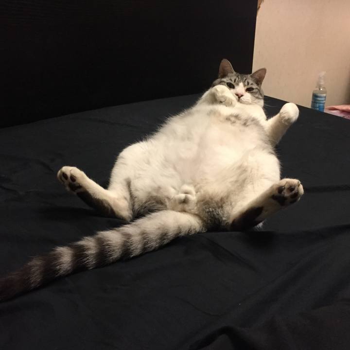 7c08a8f9 4d79 40c5 aa7f ee3c67c90b5d 1533558316238