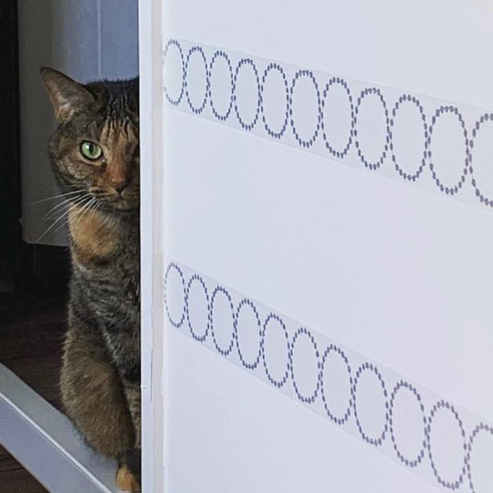 7c08bc8f b5dd 40b2 b52d 171435615ded 1590886084216