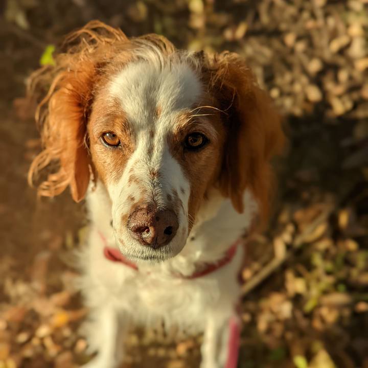 7c08bcd0 aaa6 41a3 a1d5 aa63e21f6887 1638000859239