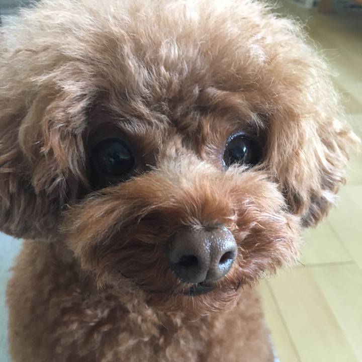 7c0914cc eb32 43a9 a6c8 84ccfc9e4a0f 1536188445536