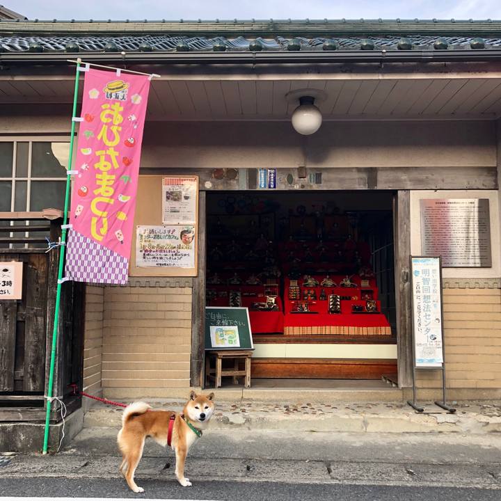 7c091ed4 5847 4c1f a663 4d6fd4cb966e 1550996635656