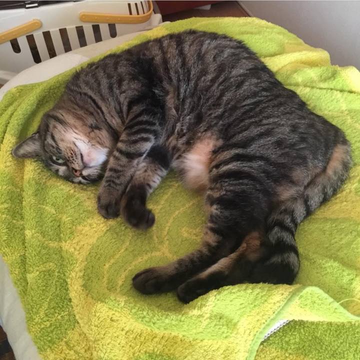 7c095114 9675 4655 bbbd d618503bc9e3 1768948770887