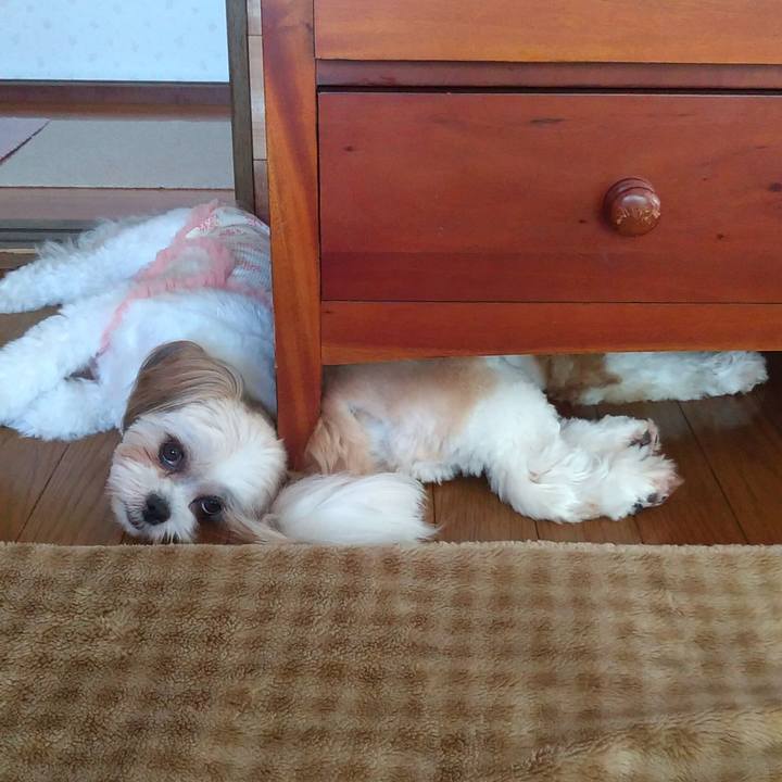 7c096766 6ff3 491a bb71 62dd7751cd66 1597102241573