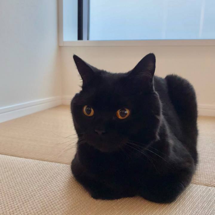 7c097046 5fea 48f5 be6e c404cab33cd3 1652433565822